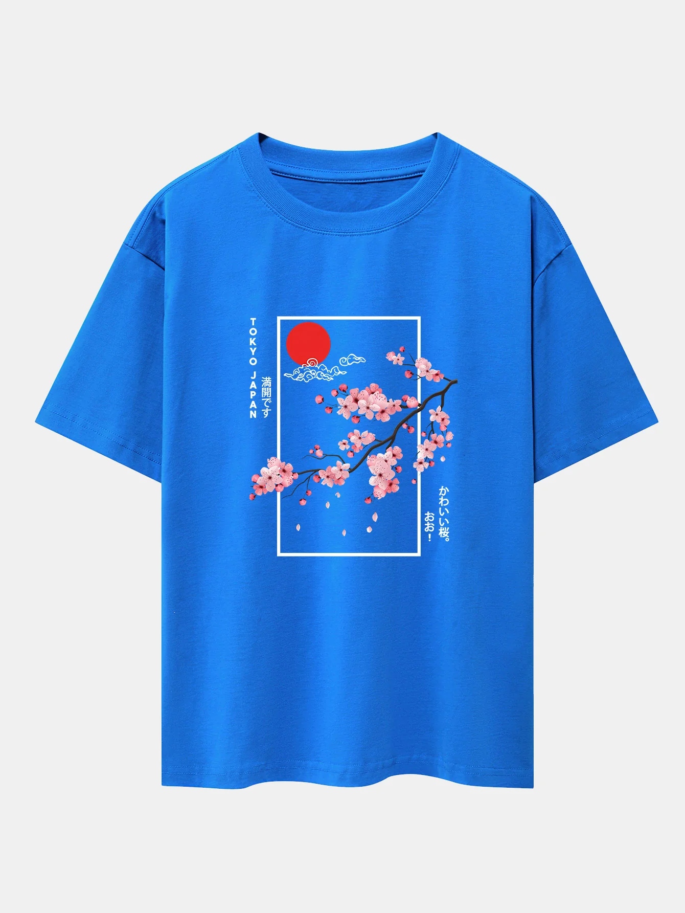 Image du produit 12